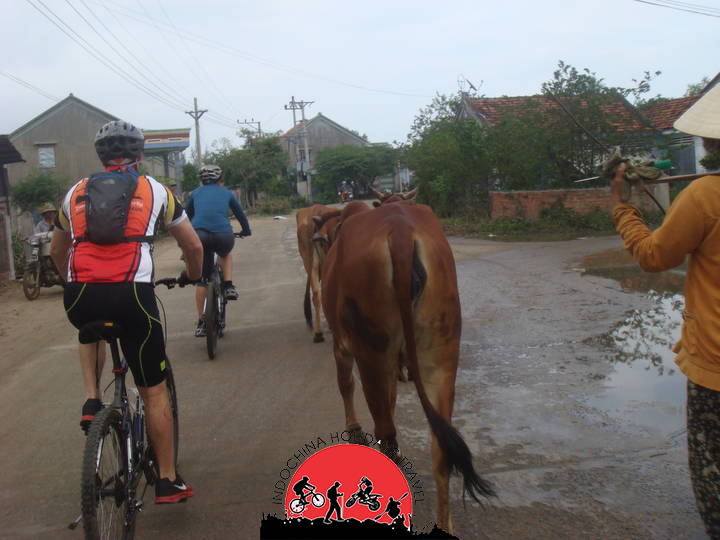 2 Days Hanoi - VanLong Nature Reserve - Cuc Phuong - Tam Coc Bike Tours